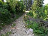 Koncentracijsko taborišče - Planina Korošica